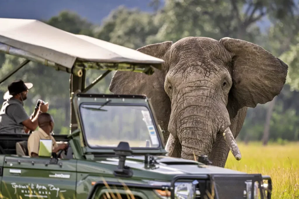 elephant_jeep_4