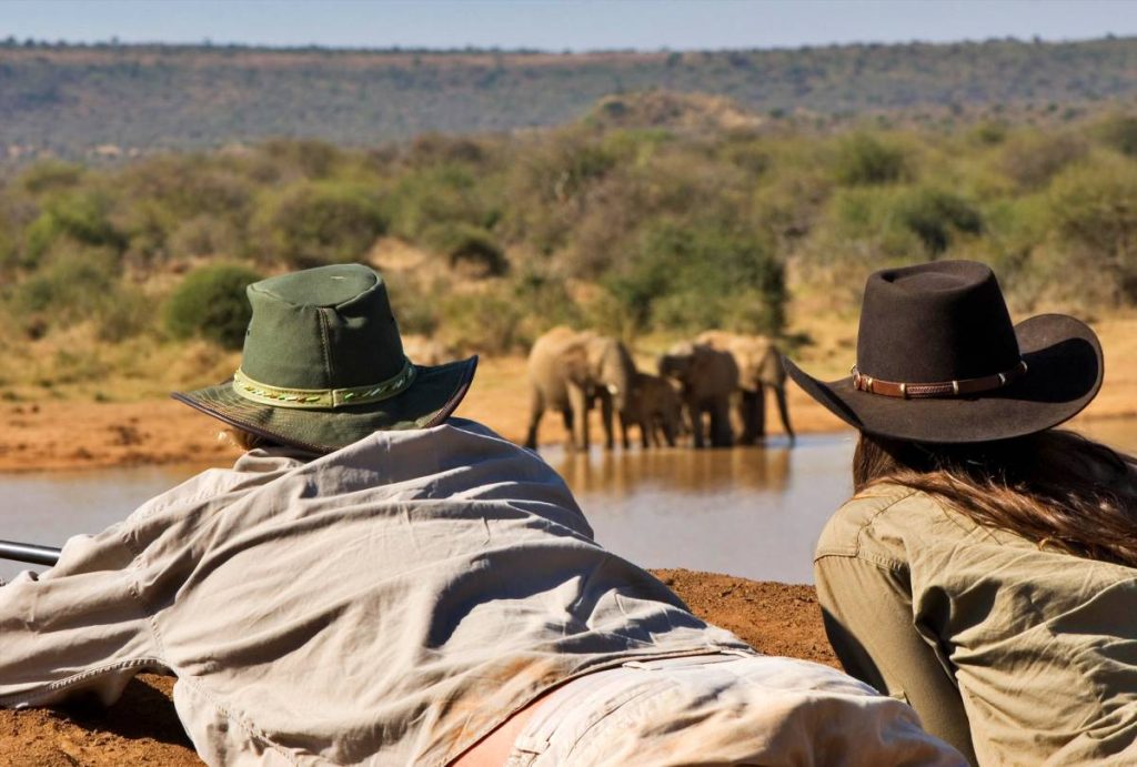 batch_NewElephant viewing at Sosian