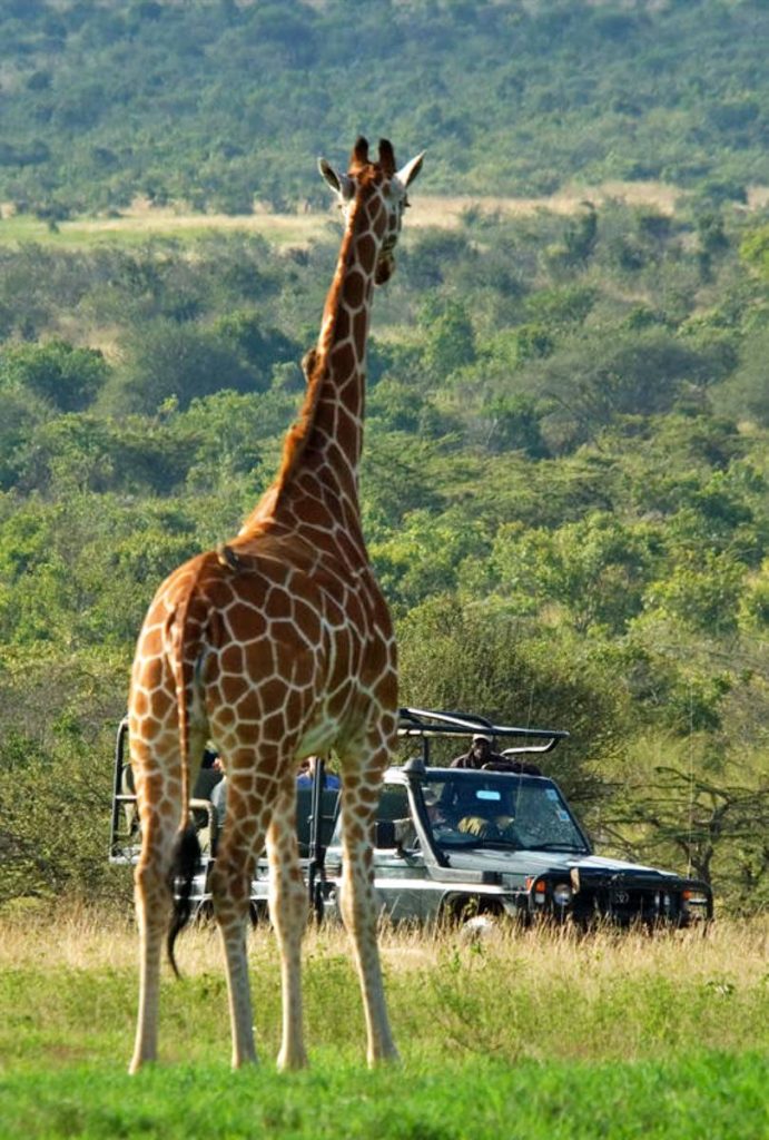 batch_NewGame Drives