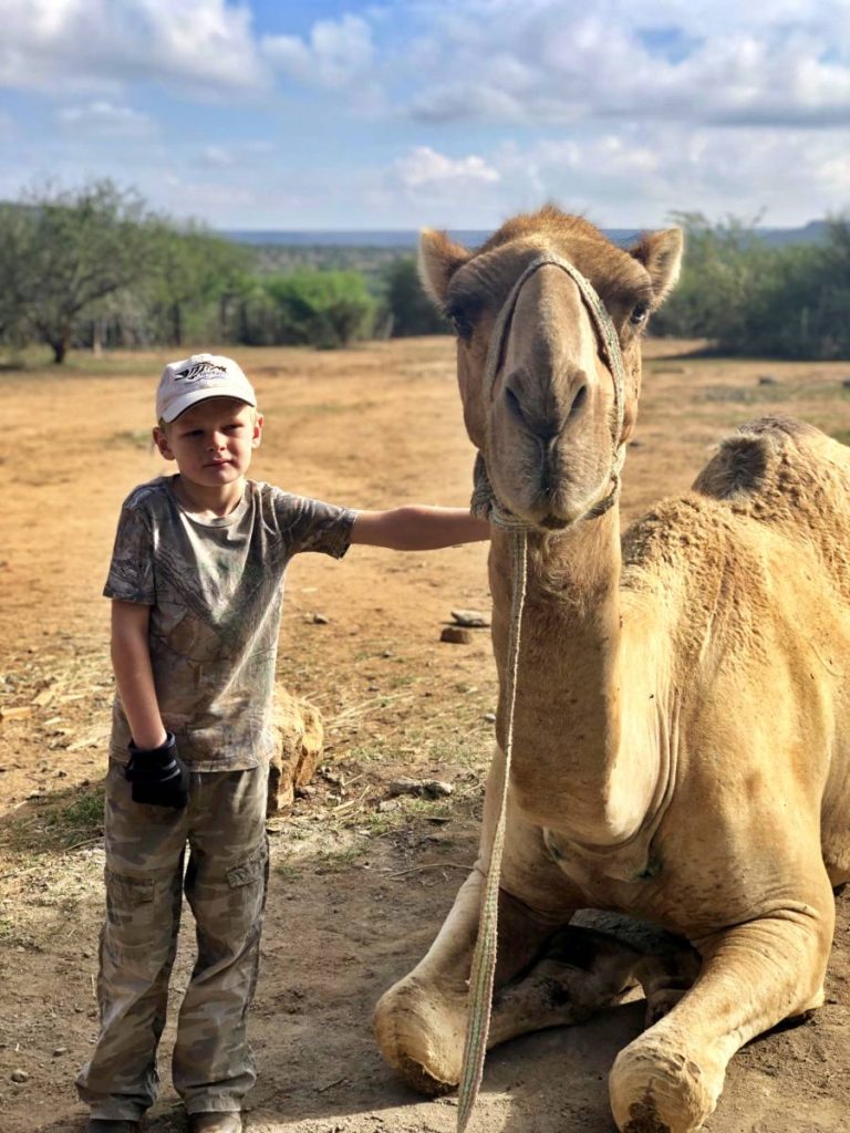 batch_Newcamel__digby_2018
