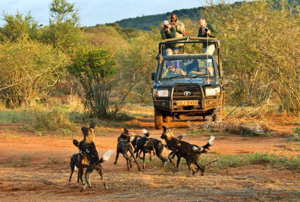 batch_Newgame_drive_6